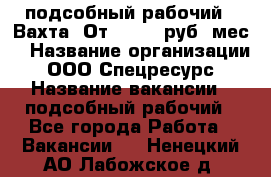 подсобный рабочий . Вахта. От 30 000 руб./мес. › Название организации ­ ООО Спецресурс › Название вакансии ­ подсобный рабочий - Все города Работа » Вакансии   . Ненецкий АО,Лабожское д.